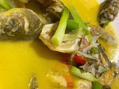 黄焖黄鸭叫-渔芙南(三里屯店)