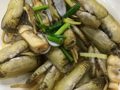 盐水蛏子-红灯笼龙凤饭店(宁波老字号店)