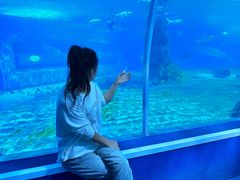 -北戴河圣蓝海洋公园