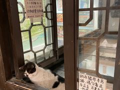 -猫的天空之城概念书店(杭州南宋御街店)