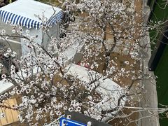 -山东大学(威海校区)