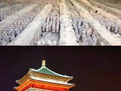 -福苗小骆驼烧烤(大唐不夜城店)