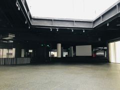-威尔仕健身(丁香国际店)