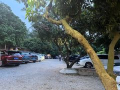 -满記土窑烧鷄波浪山莊
