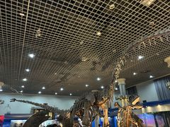 -国家自然博物馆