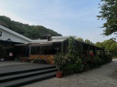 -龙猫意杯花园餐厅(芙蓉湖店)