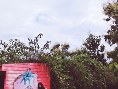 -黄色小屋