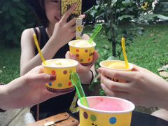 -莓园冰淇淋店