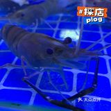 家门口的鲜鱼馆！鲜！