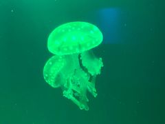 -福州罗源湾海洋世界旅游区