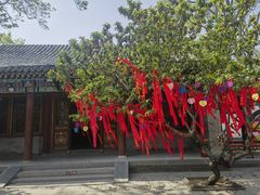 -荣国府