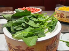 -龍歌自助小火锅(雨花台江南虹悦城店)