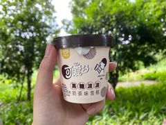 -东湖落雁景区