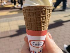 -富豪雪糕车流动点(尖沙咀店)