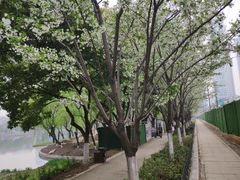 -西北湖绿化广场