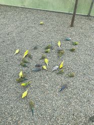 -萌宠亲子动物乐园(槐房万达店)