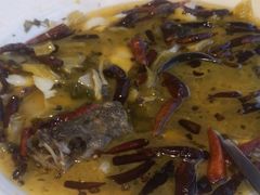 -九毛九西北菜(盈信广场店)