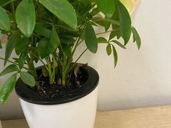 -方快-照相馆(金桥国际店)