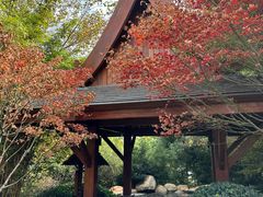 -七彩云南古滇温泉山庄