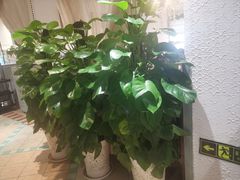 -爱丽格斯火锅(东岸国际店)