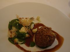 小牛胸腺-Epicure