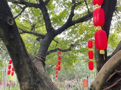 -东风公园