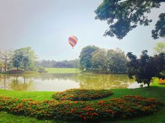 -中国科学院西双版纳热带植物园