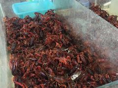 -新城区农贸市场