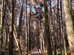 -同里国家湿地公园