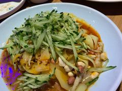 石河子凉皮-胖老汉椒麻鸡清真新疆菜(西御街店)