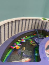 -奈尔宝·儿童乐园·亲子餐厅(苏州大悦城店)