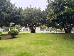 -厦门国家会计学院