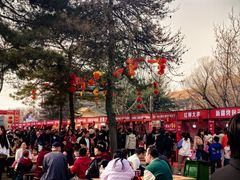 -大明幻境第一城