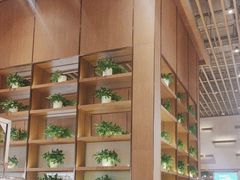 -西贝(华发商都店)