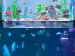 -烟台海昌鲸鲨海洋公园