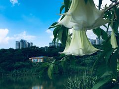 -广西壮族自治区药用植物园