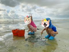 -北海金海湾红树林生态旅游区