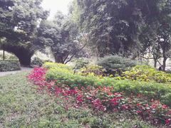 -成都市活水公园