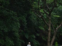 -黄埔油麻山森林公园