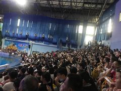 -台州海洋世界