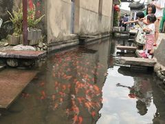 -前童古镇