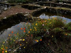 -MOJ coffee(瓯海泽雅水碓坑店)