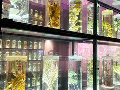 -广东中医药博物馆