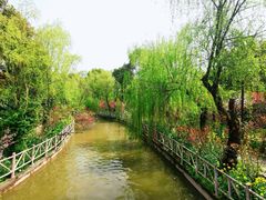-南汇桃花村