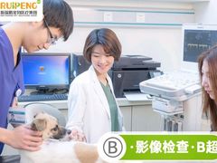 -宠颐生中康贝怡动物医院