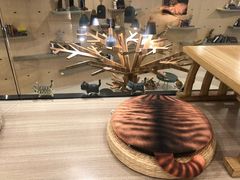 -飞行喵MR PILOT|猫舍·猫咖(静安大融城店)