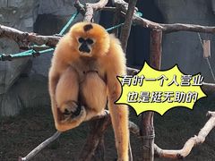-杭州野生动物世界