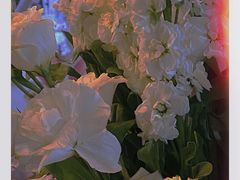 -循礼门鲜花花市(武汉循礼门店)