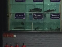 -小牛海记潮汕牛肉店(永定路店)