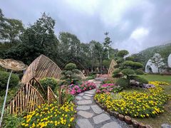 -广州市白云山风景名胜区
